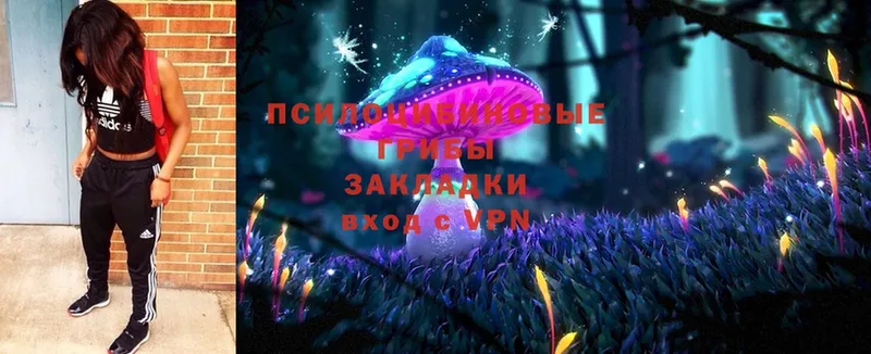 Галлюциногенные грибы MAGIC MUSHROOMS  Мосальск 